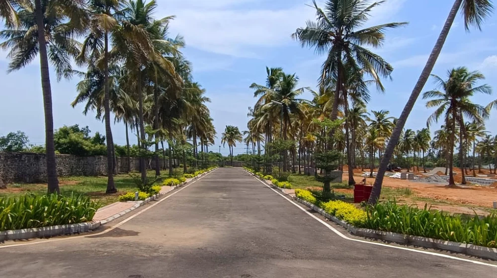Buy Residential Plots in Thaiyur, plots in Thaiyur, villa plots for sale in Thaiyur, plots for sale in OMR